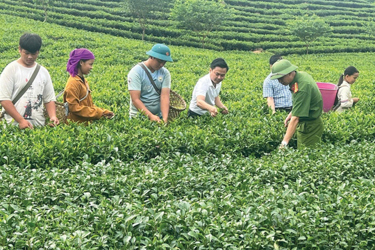 Khơi thông tư duy sản xuất - Chìa khóa để người dân thoát nghèo