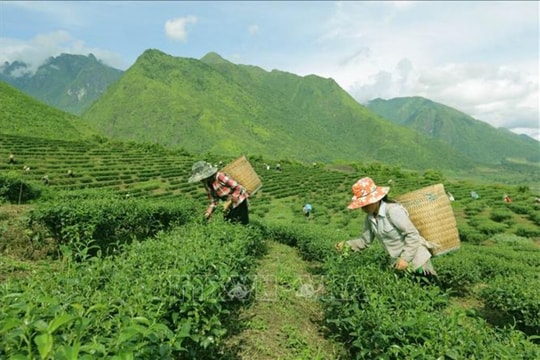 Hướng dẫn quản lý kinh phí thực hiện Chương trình MTQG
