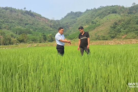 Xã có trên 64% hộ nghèo mở hướng đổi thay