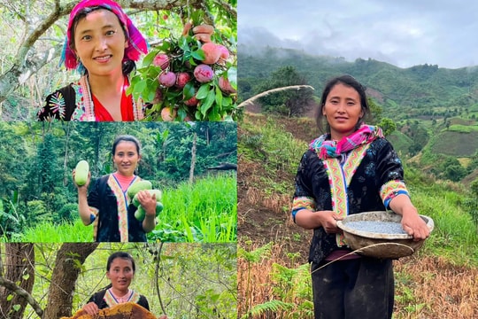 Từ cô gái người Mông bỏ lỡ giấc mơ luật sư đến cơn sốt mạng xã hội vùng cao