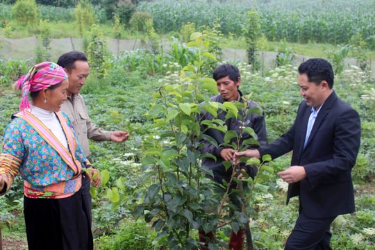 Lai Châu “chốt” mục tiêu giảm nghèo dưới 10% vào 2030