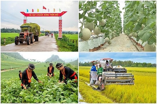 Lập 8 đoàn công tác kiểm tra kết quả thực hiện Chương trình mục tiêu quốc gia