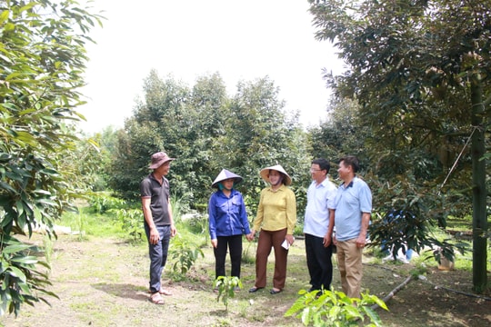 Đăk Hà: Phát huy vai trò của tổ chức Đảng trong thực hiện chính quyền địa phương 2 cấp
