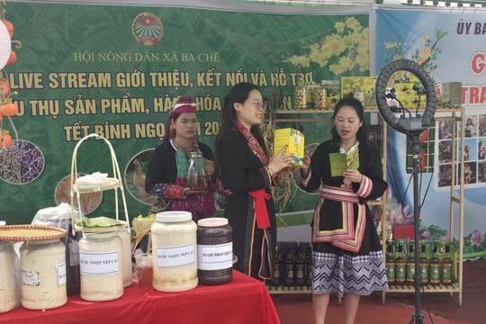 Nông dân dạy nông dân chuyển đổi số