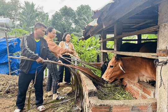Gia Lai: Khi những con đường thay đổi cả một vùng đất