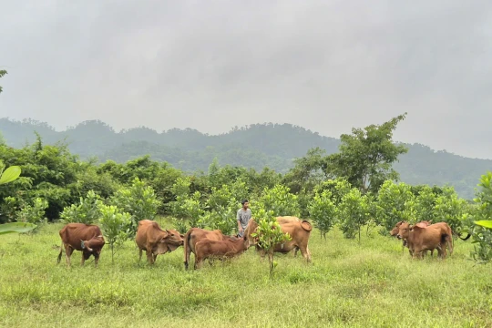 Chiến khu Ba Lòng - Điểm sáng xóa nghèo