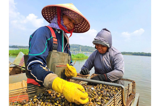 "Hồ nước không bao giờ cạn" giữa lòng Đắk Lắk
