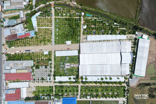 Cận cảnh quảng trường hơn 5,1 ha tổ chức Lễ tuyên phong Chân phước