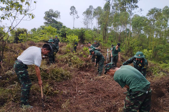 "Ăn trên núi, ngủ trong rừng" tìm đưa các liệt sĩ về với quê hương