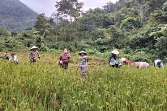 Những "bông hoa đẹp" của Đảng ở vùng cao xứ Nghệ: Đi trước, làm cùng để dân tin