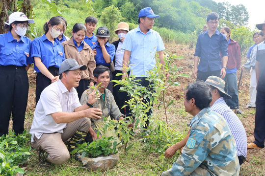 Ban đêm xuống thôn nghe dân nói, ban ngày dùng AI giải quyết việc dân