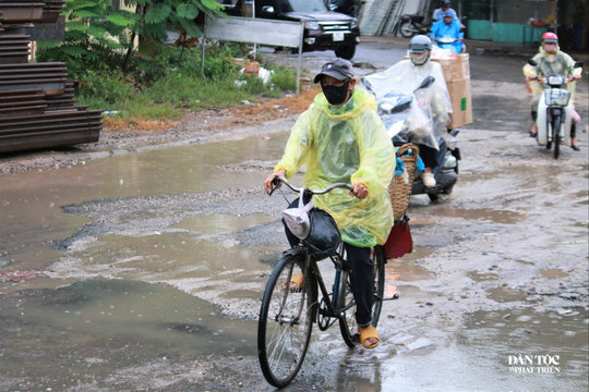 Tiếng rao đêm của người đàn ông bán bánh giò đưa 4 con vào đại học