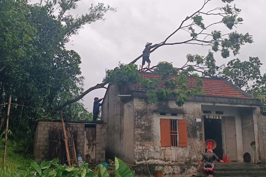 Vùng cao Quảng Ninh khẩn trương khắc phục hậu quả bão số 1