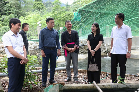 Phú Thọ: Đề nghị lồng ghép linh hoạt nguồn vốn giữa các chương trình mục tiêu quốc gia
