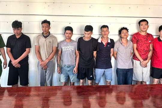 6 tháng công an Ninh Bình triệt phá 589 vụ ma túy