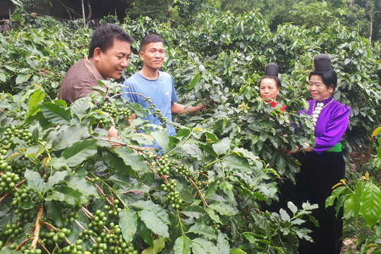 Bí thư 39 tuổi xóa "5 không" ở bản nghèo
