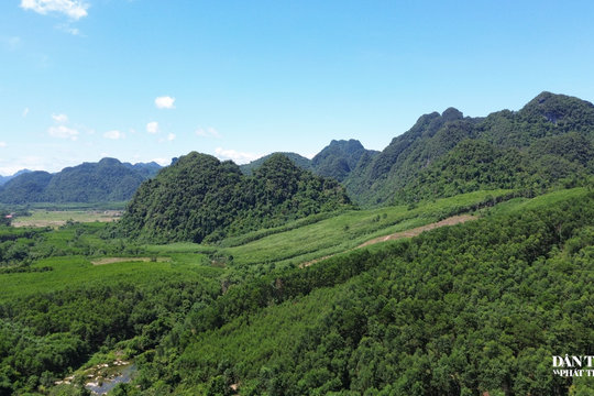 Gần 1.600 ha rừng được giao đến người dân xã Kim Ngân quản lý, bảo vệ