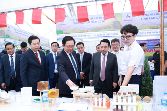 Lào Cai cần tiếp tục đột phá trong tư duy phát triển