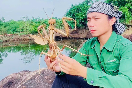 "Chú Cuội" đánh thức loài vật từ gốc tre vô tri