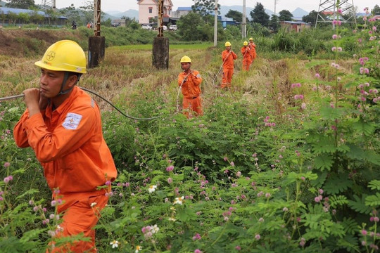 Nhìn trúng điểm nghẽn đặc thù để thực hiện chính sách dân tộc: Điện lưới đã về bản, sinh kế vẫn chưa sáng