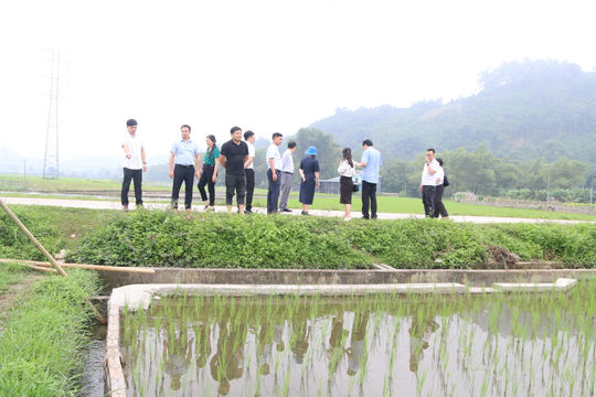 Kiểm tra 6 công trình của Chương trình MTQG tại Thái Nguyên