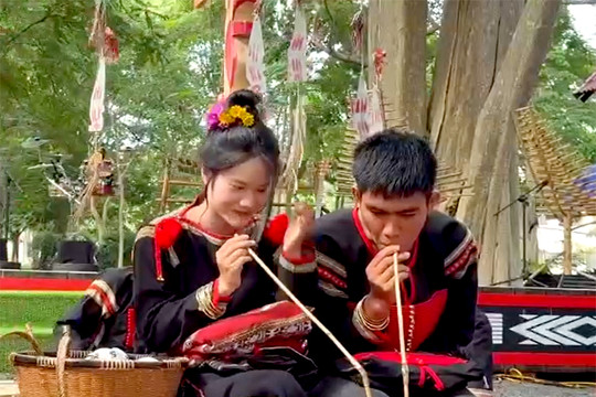 [Short video] Nghi thức rước rể của người Ê Đê