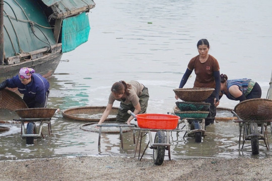 Sống nhờ 'lộc nước', dân ven sông La thu nhập hàng triệu đồng từ nghề 300 tuổi
