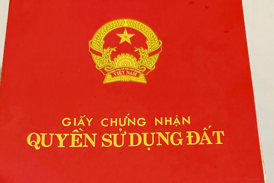 Vi phạm đất đai trước 1/8/2024 có thể được cấp sổ đỏ, sau mốc này xử lý nghiêm