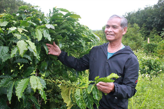 “Bán đất sản xuất thì chẳng khác nào mình bán con”
