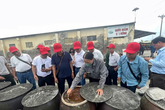 Đoàn Người có uy tín TP. Đà Nẵng học tập kinh nghiệm tại một số tỉnh phía Bắc