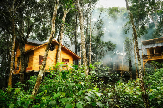Măng Đen Treehouse mang du lịch xanh ra thế giới