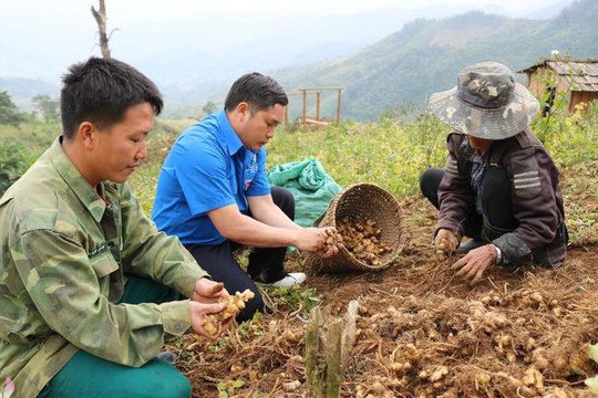 Nghệ An: Trao "cần câu" để người nghèo tự vươn lên