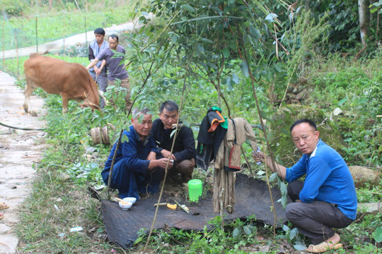 Người Mông khép lại một vòng đời bằng nghi lễ cúng bò