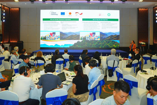 Thúc đẩy lâm nghiệp xanh, thích ứng với biến đổi khí hậu