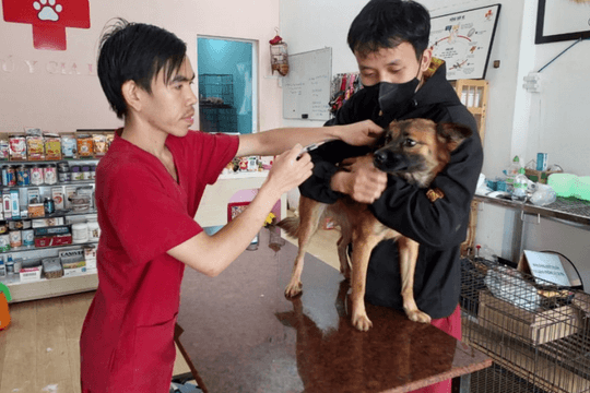 Gia Lai: Từ đầu năm đến nay, có 3 trường hợp tử vong do bệnh dại