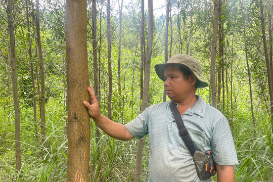 Từ "chữ tín" đến đổi thay làng đồng bào Co