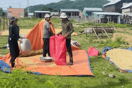 Hơn 950 thôn vùng đồng bào DTTS và miền núi được “định danh” ở Gia Lai
