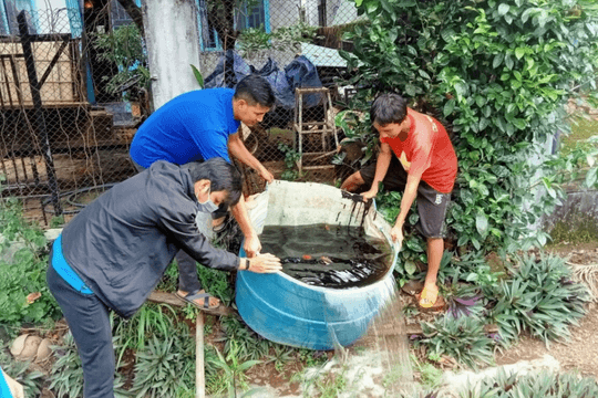 Ghi nhận hơn 4.500 ca sốt xuất huyết tại Gia Lai