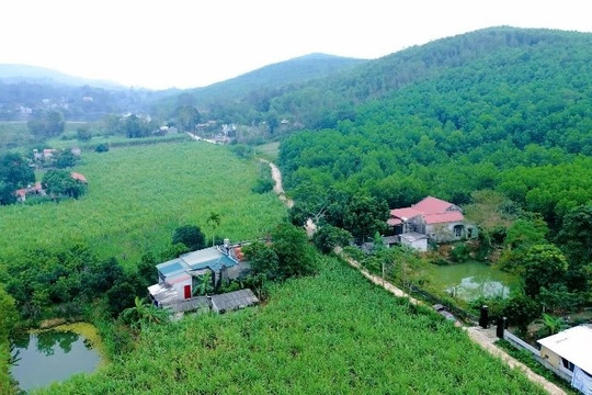 623 thôn vùng đồng bào DTTS Thanh Hóa được phân định, 311 thôn diện đặc biệt khó khăn