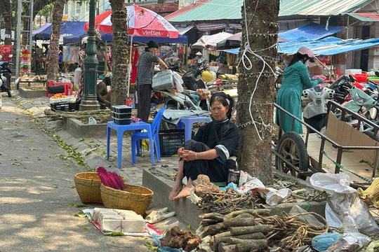 Dữ liệu số mở đường hậu kiểm an toàn vệ sinh thực phẩm ở Cao Bằng