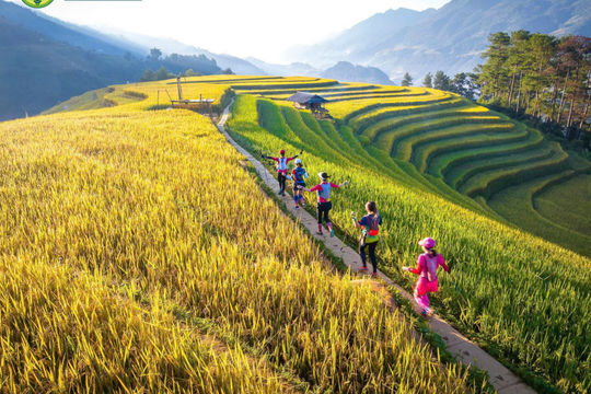 Hấp dẫn chuỗi sự kiện “Lễ hội mùa vàng” Mù Cang Chải