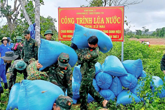 Thu hoạch hơn 10 tấn lúa ST25 từ vụ sản xuất thử nghiệm ở vùng biên Ia Mơ