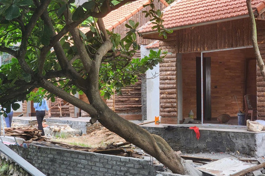 Ninh Bình siết quản lý đất đai, xây dựng trong vùng lõi Tràng An