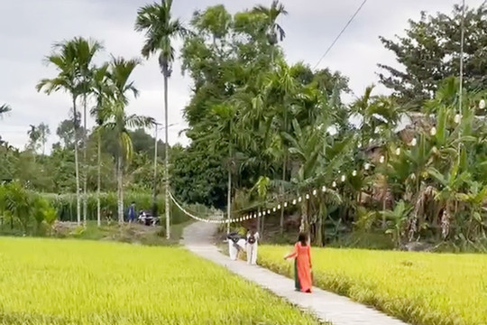 [Short video] Thăm làng cổ đẹp như tranh giữa lòng miền Trung