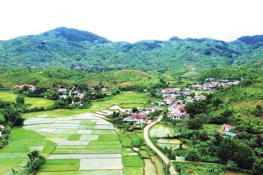 Xóm đạo Pêng Siêl: Bỏ sắn, nuôi heo, trồng cà phê để thoát nghèo