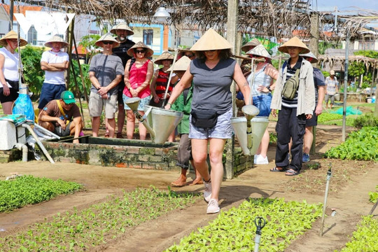 Vì sao làng rau Trà Quế hơn 400 tuổi hút khách Tây đến trải nghiệm?