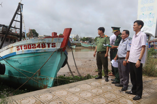 Cần Thơ: 784 tàu cá đã được cập nhật vào cơ sở dữ liệu quốc gia VnFishbase