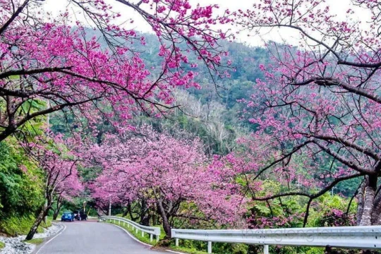 Sa Pa trong năm, đi mùa nào cũng có lý do để trở lại