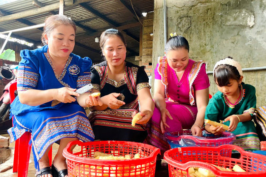 70 phụ nữ đưa măng rừng thành sản phẩm "3 sao cấp tỉnh"