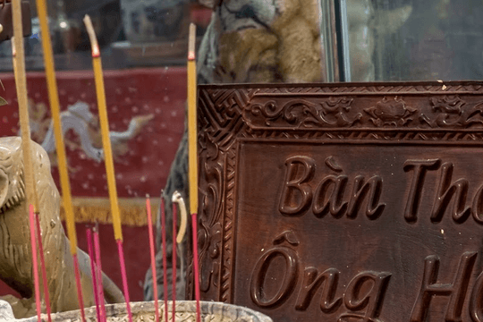 Từ ác thú đến thần bảo hộ: Hành trình kỳ lạ của hổ trong tín ngưỡng Việt